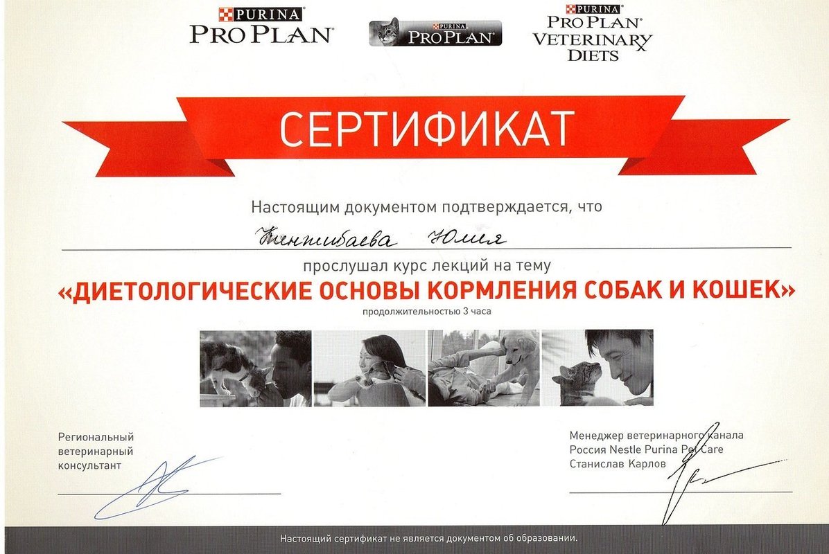 Документ или сертификат