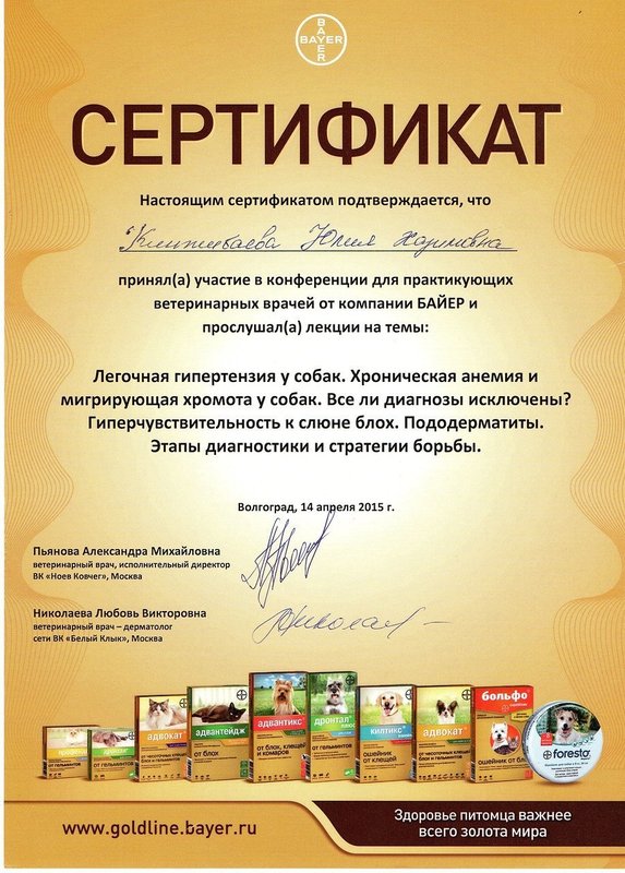 Документ или сертификат