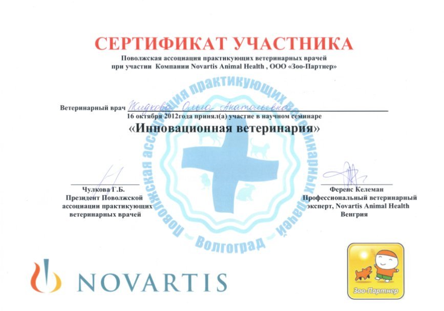 Документ или сертификат