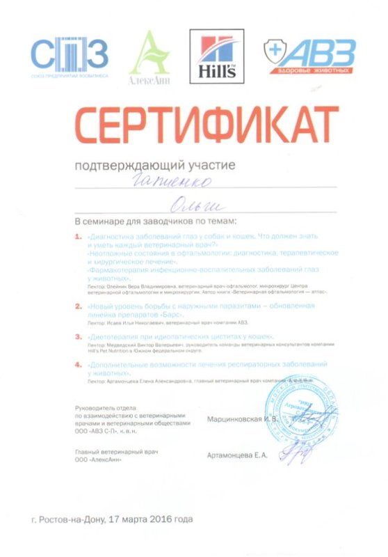 Документ или сертификат