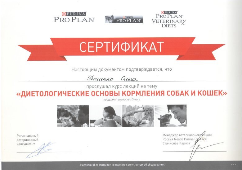 Документ или сертификат