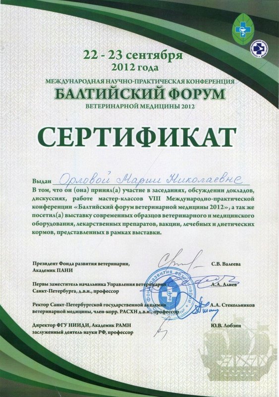 Документ или сертификат