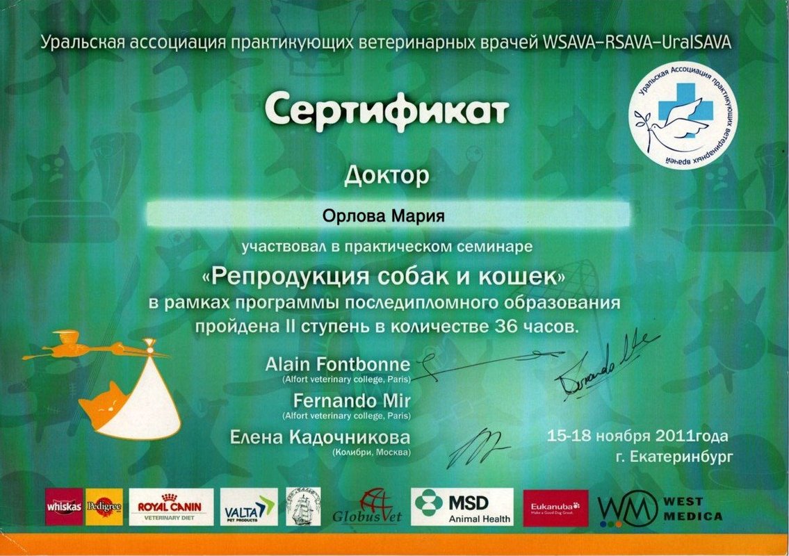 Документ или сертификат