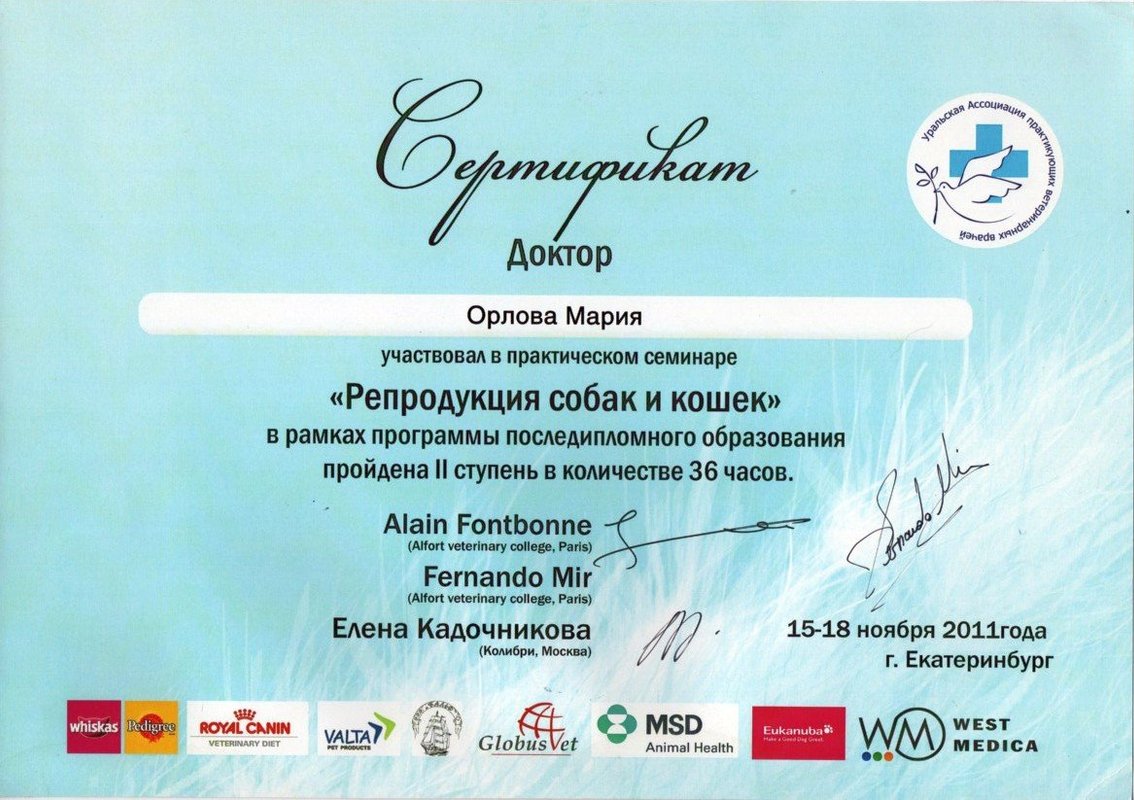 Документ или сертификат
