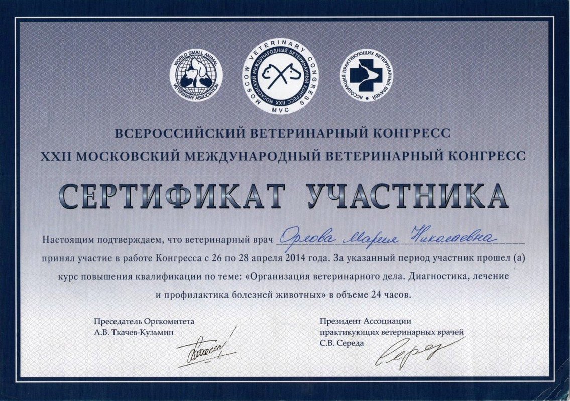 Документ или сертификат