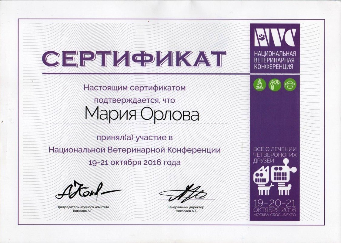 Документ или сертификат