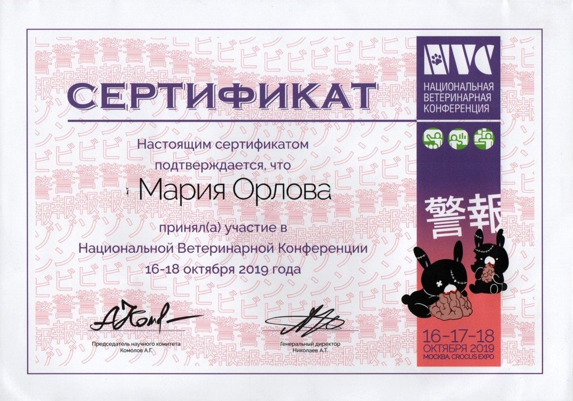 Документ или сертификат