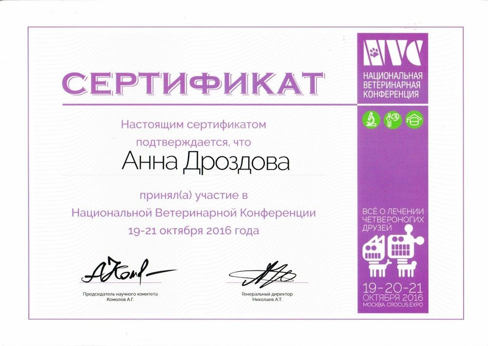 Документ или сертификат