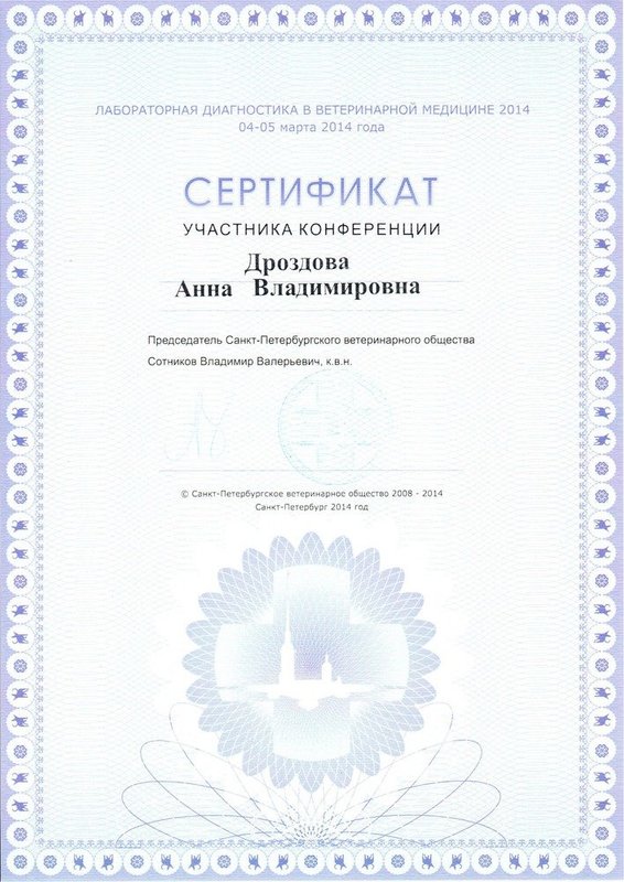 Документ или сертификат