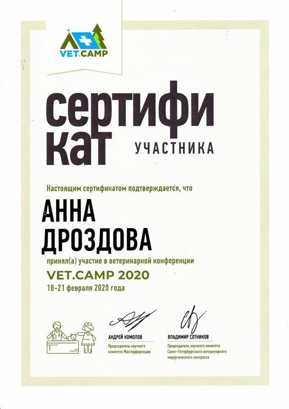 Документ или сертификат