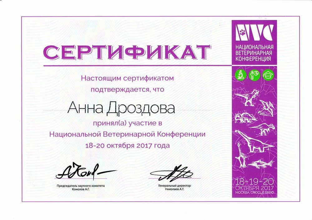 Документ или сертификат