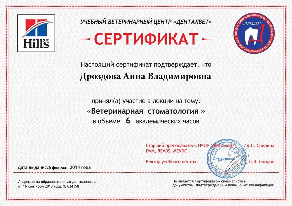 Документ или сертификат