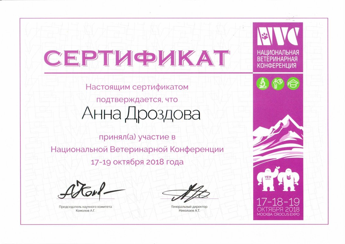 Документ или сертификат