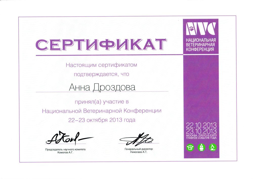 Документ или сертификат