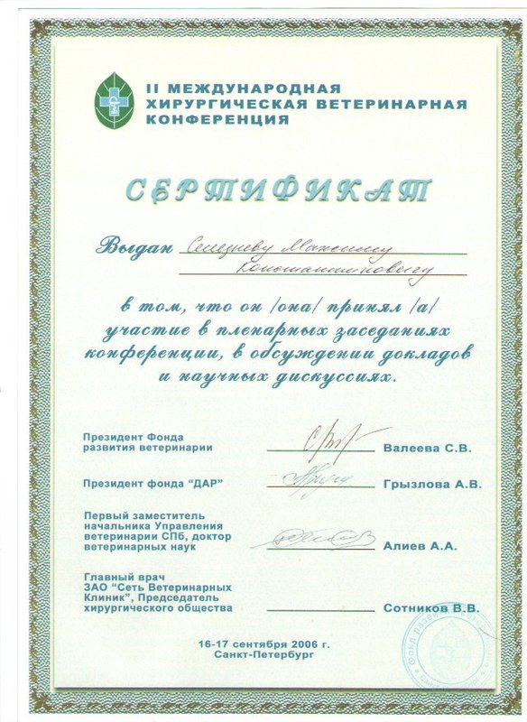 Документ или сертификат