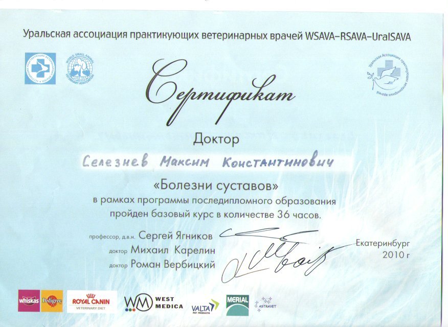 Документ или сертификат