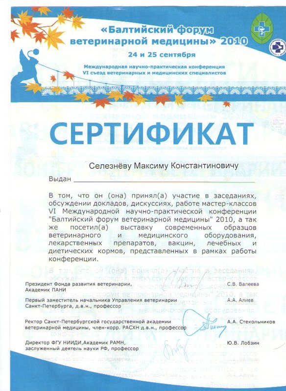 Документ или сертификат