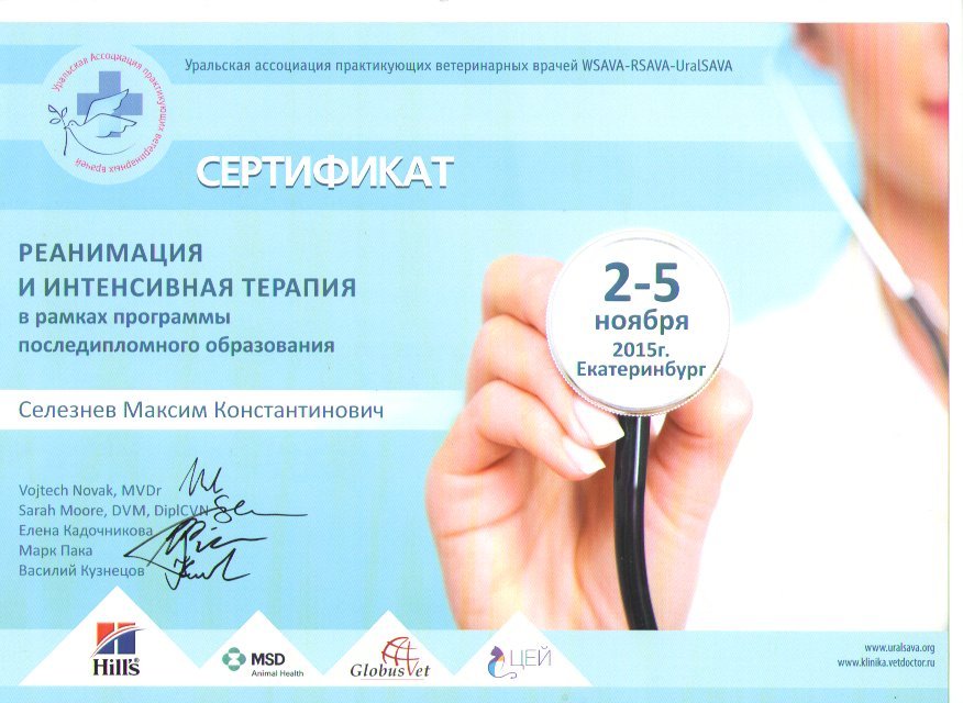 Документ или сертификат
