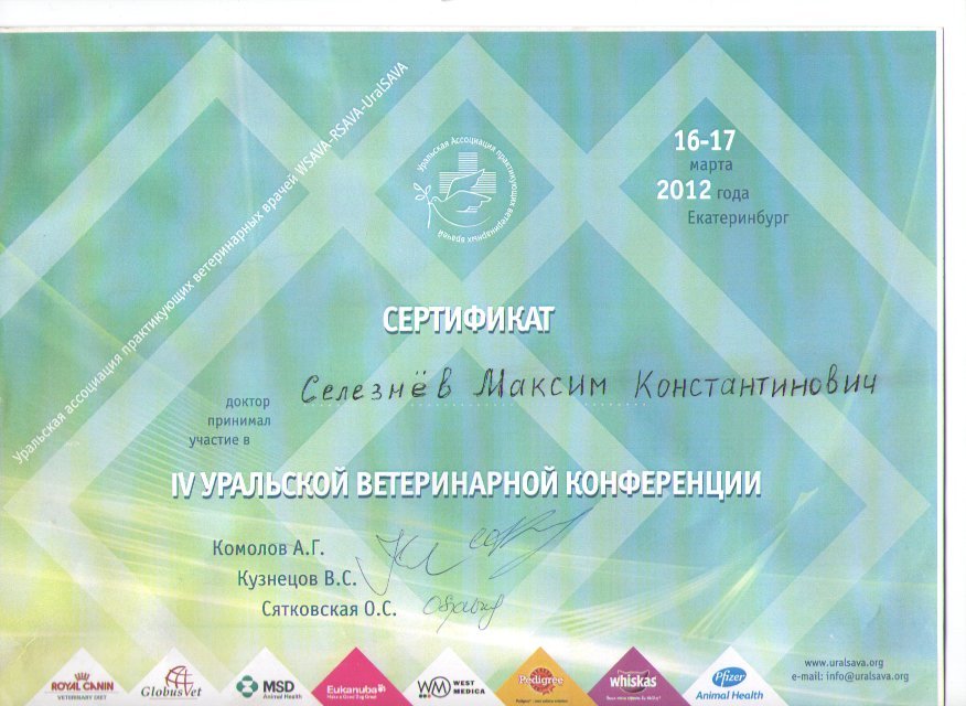 Документ или сертификат