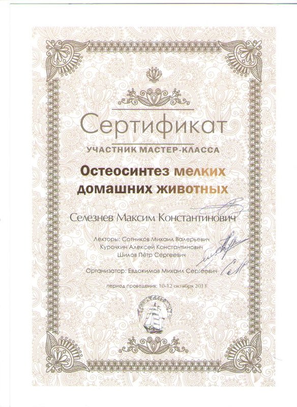 Документ или сертификат