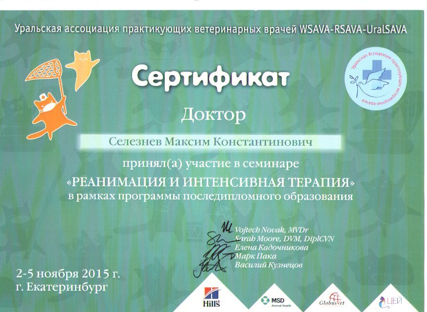 Документ или сертификат
