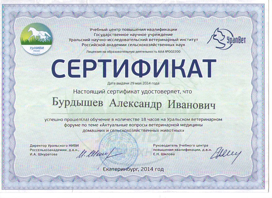 Документ или сертификат