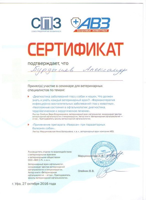 Документ или сертификат