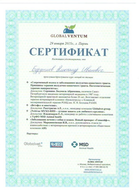 Документ или сертификат