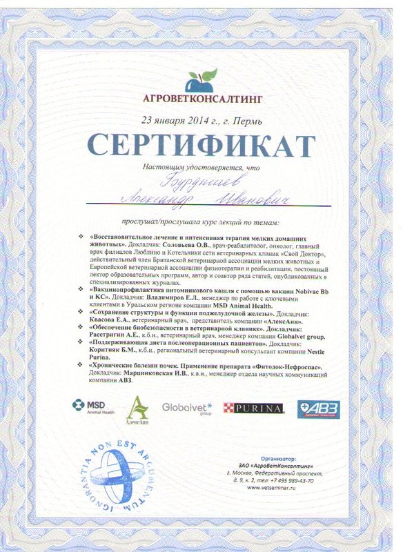 Документ или сертификат