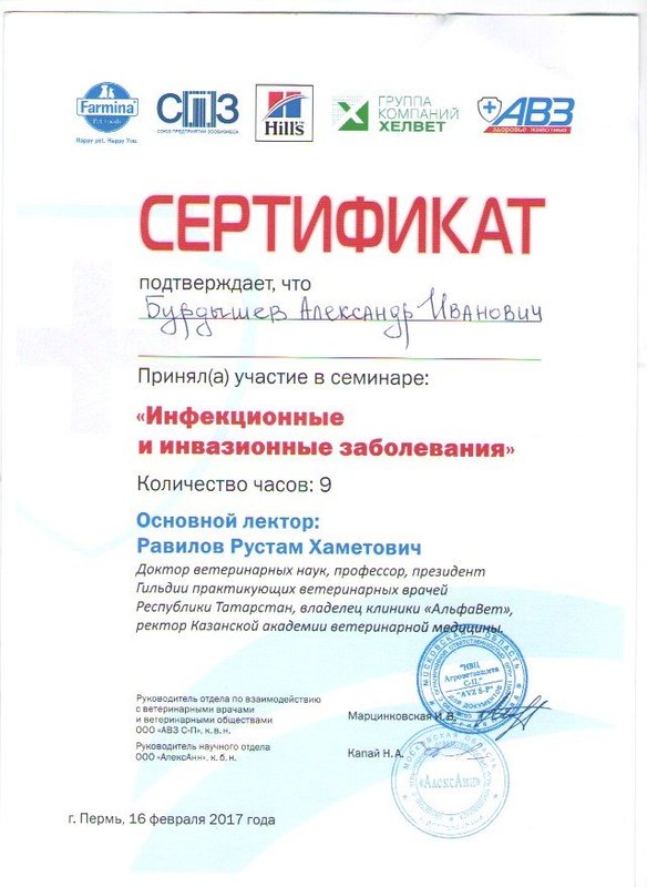 Документ или сертификат