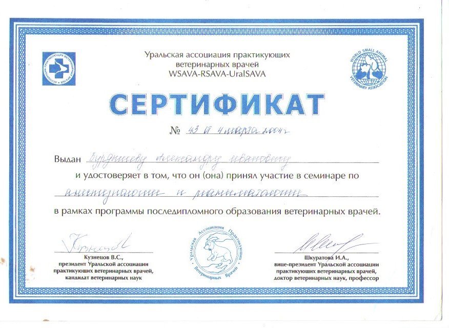 Документ или сертификат