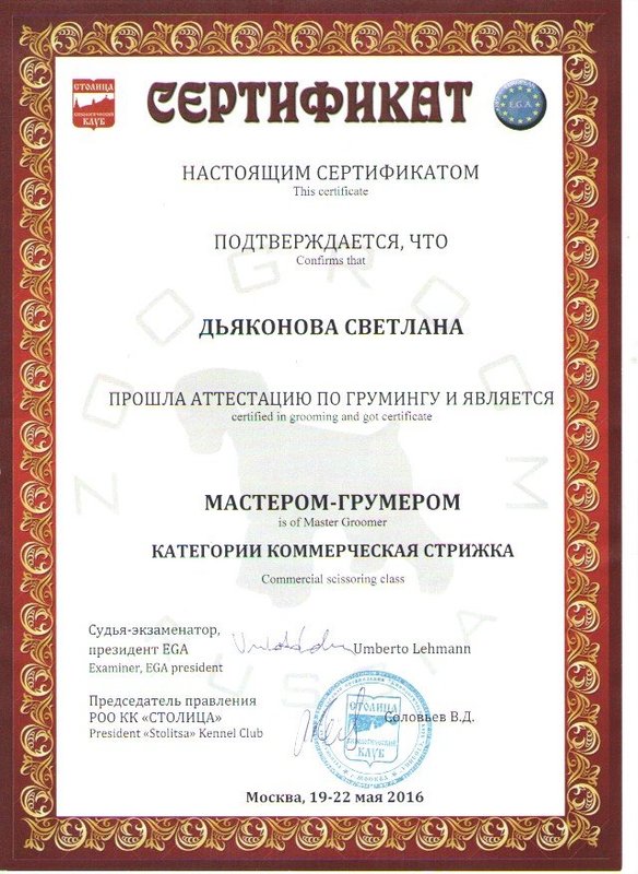 Документ или сертификат