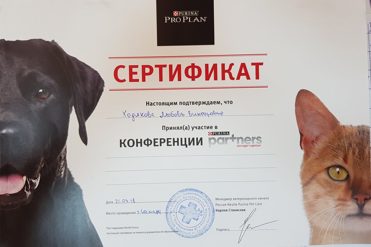 Документ или сертификат