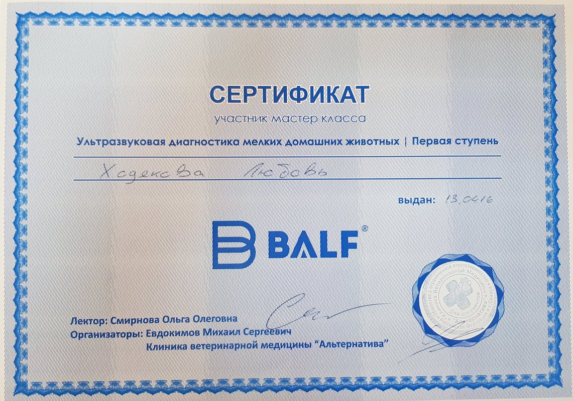 Документ или сертификат