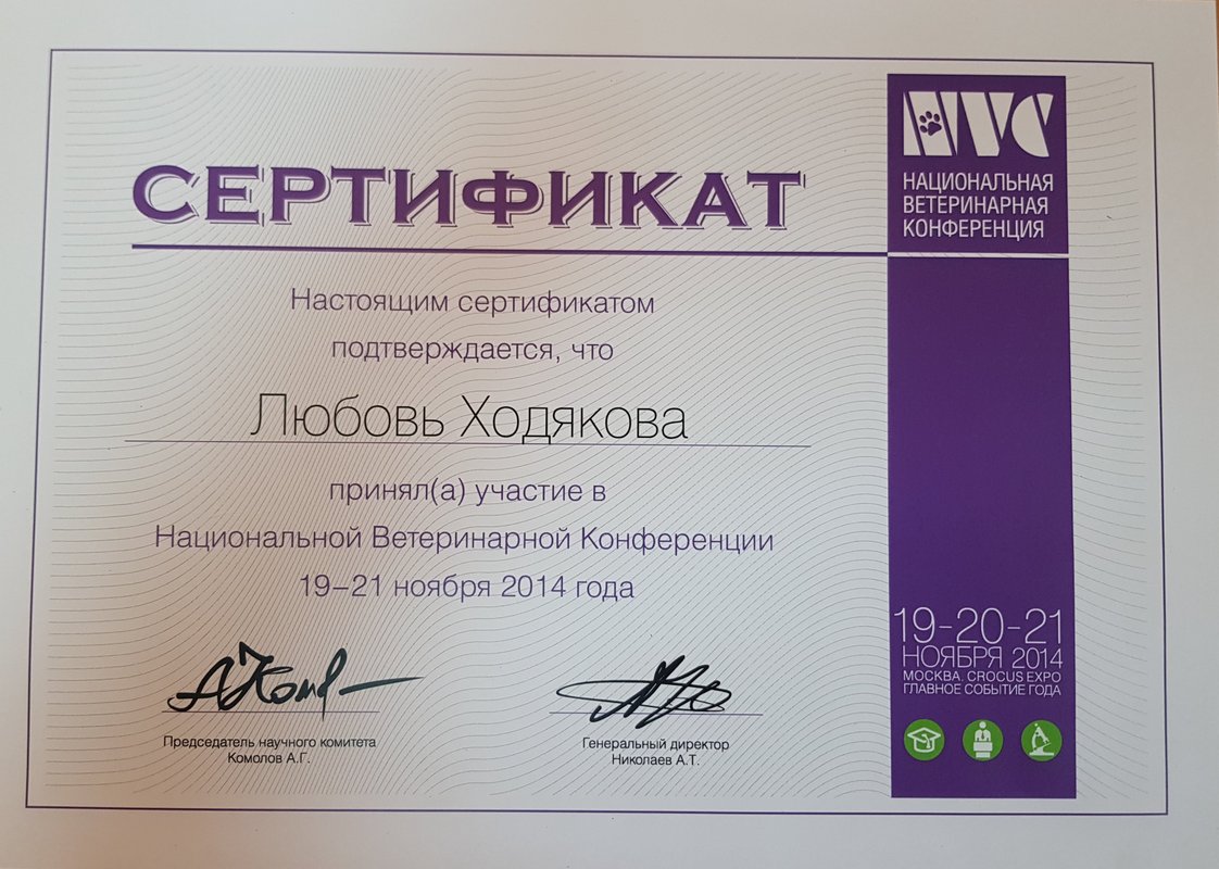 Документ или сертификат