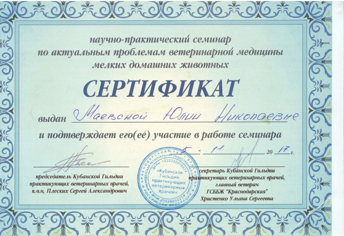 Документ или сертификат