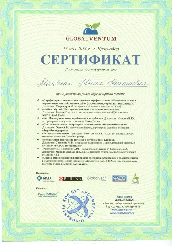 Документ или сертификат