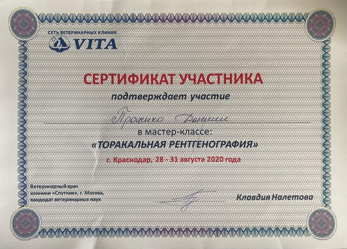 Документ или сертификат