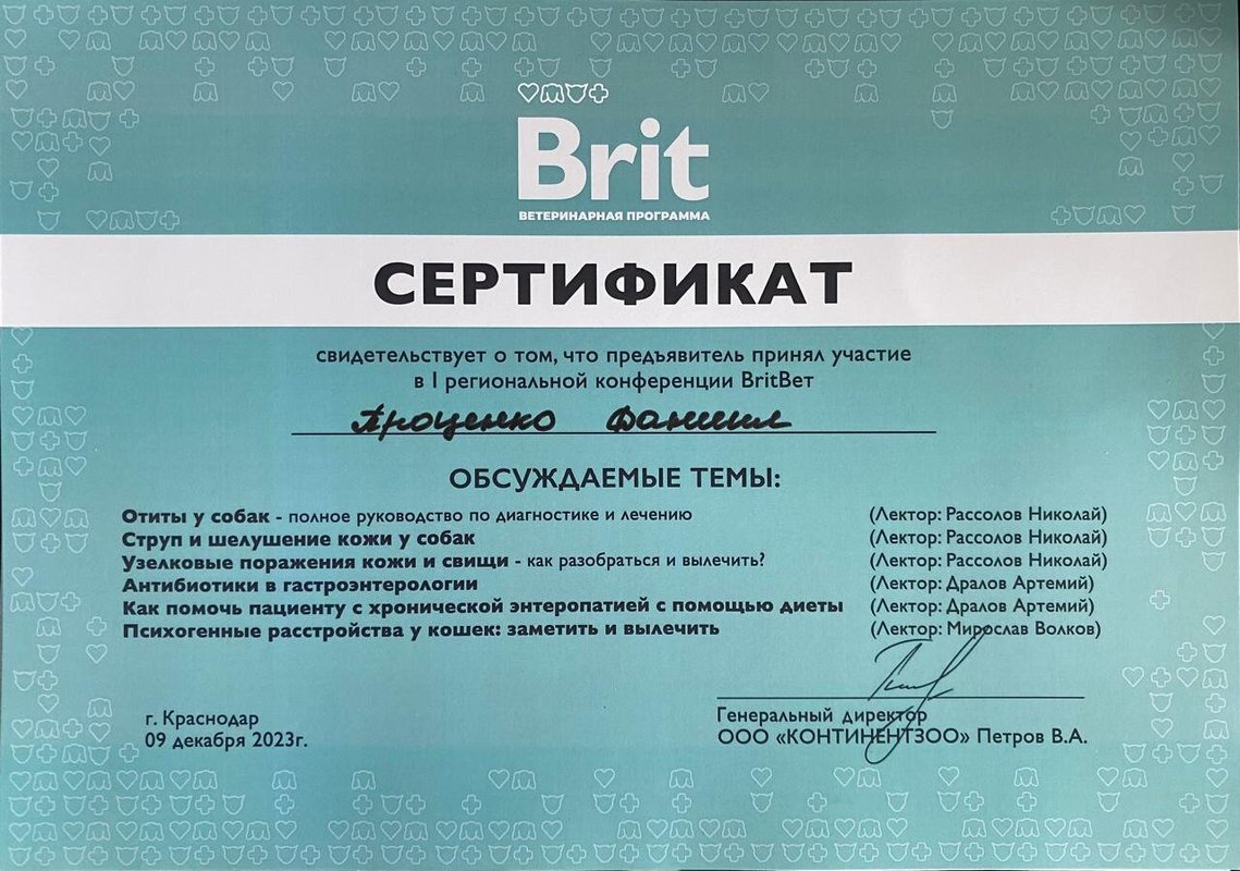 Документ или сертификат