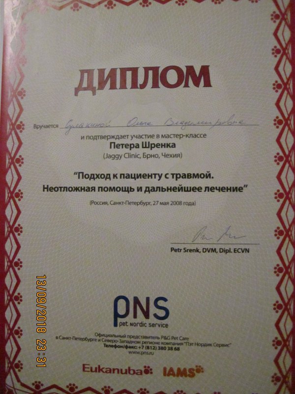 Документ или сертификат