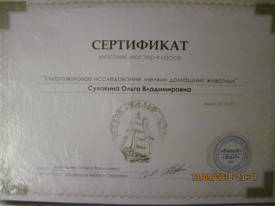 Документ или сертификат
