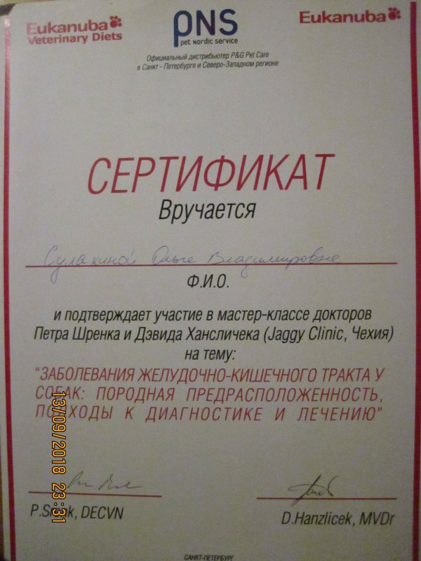 Документ или сертификат