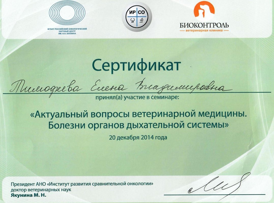 Документ или сертификат