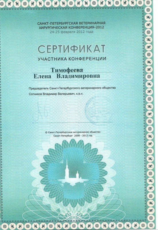 Документ или сертификат