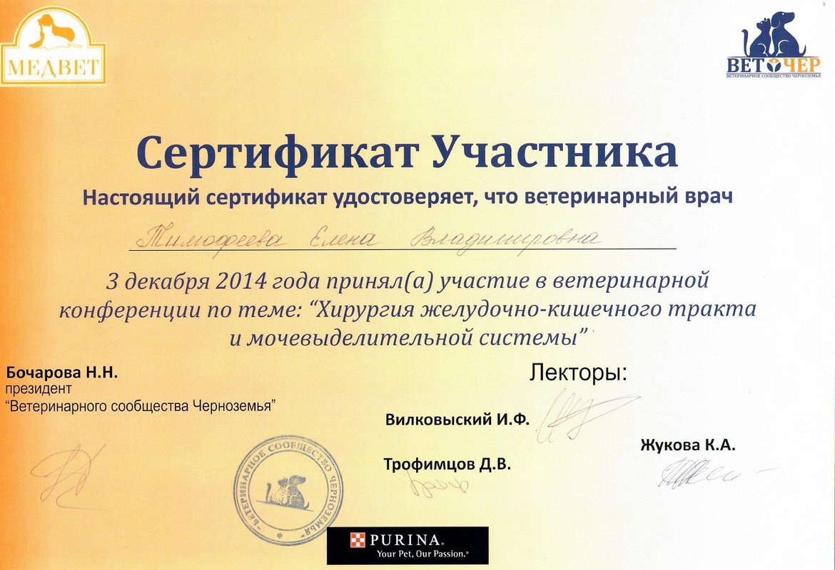 Документ или сертификат