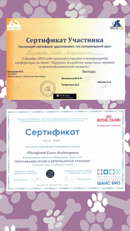Документ или сертификат