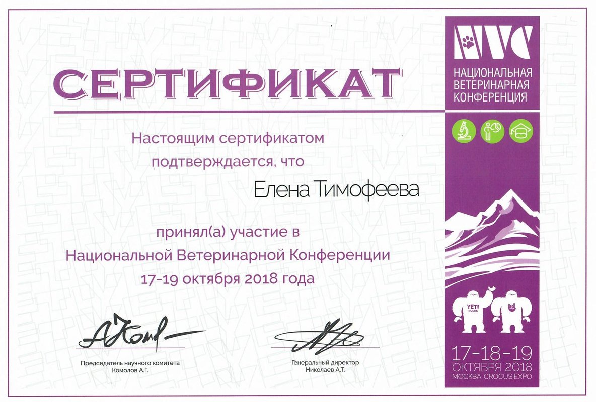Документ или сертификат