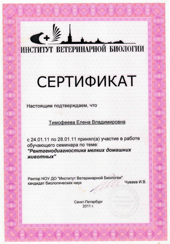 Документ или сертификат