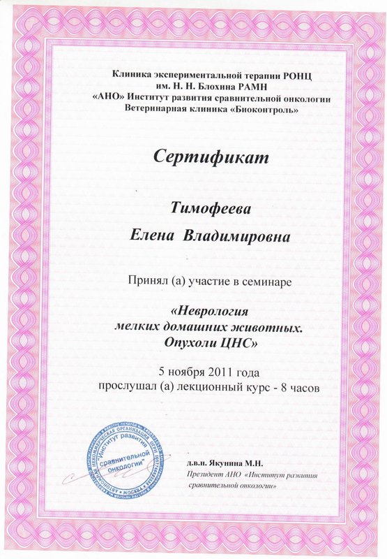 Документ или сертификат