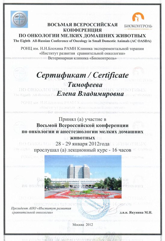 Документ или сертификат